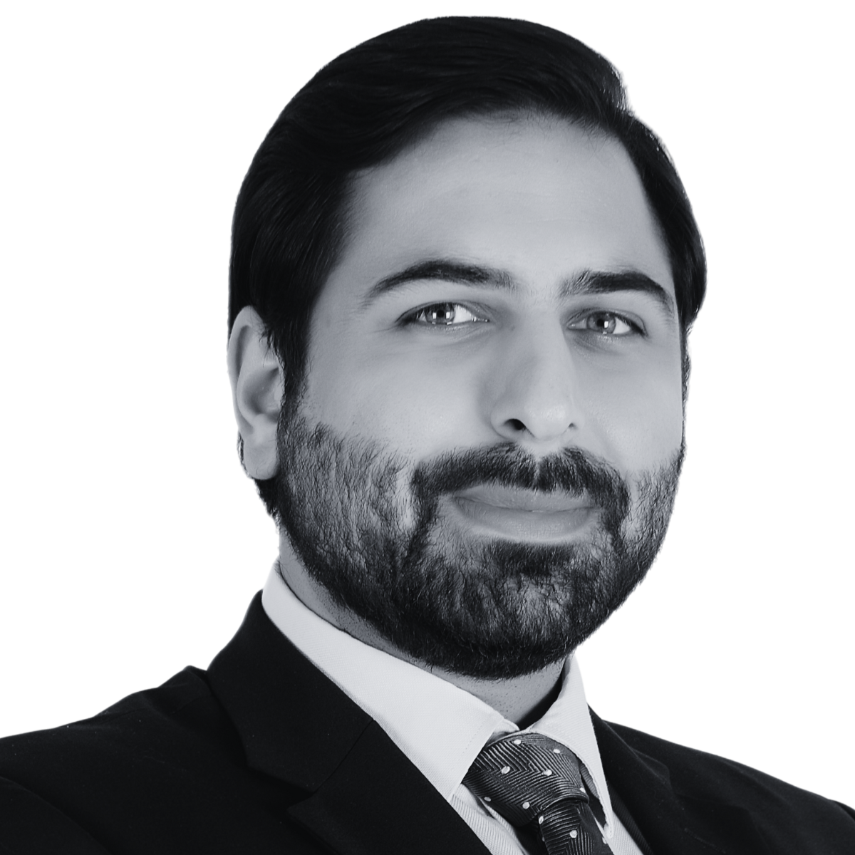 M. Hassan Haider