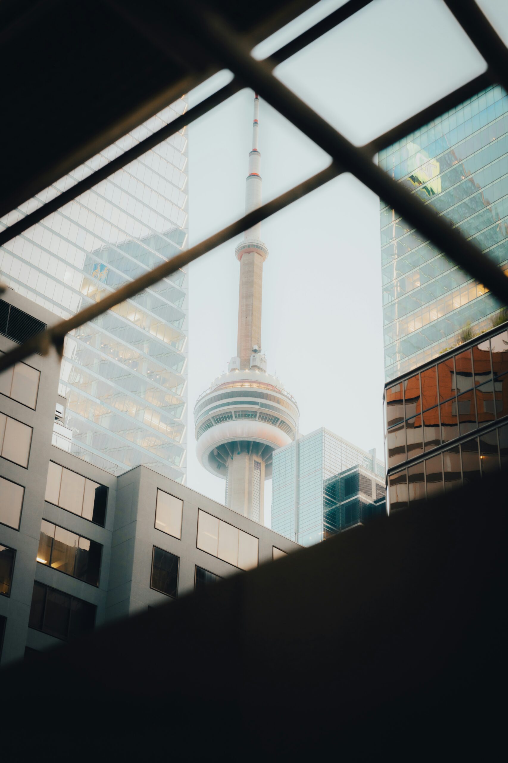 Fundraising advisory engagement for a Canadian AI/ML firm