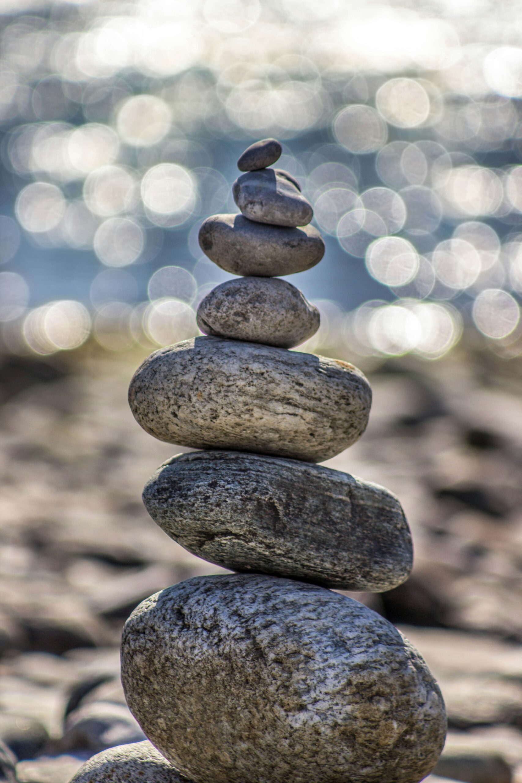 Fractional CFO engagement for a U.S. life coaching business